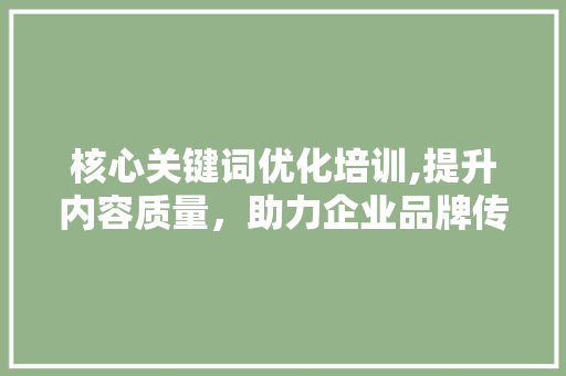 核心关键词优化培训,提升内容质量，助力企业品牌传播