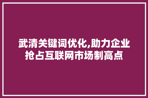 武清关键词优化,助力企业抢占互联网市场制高点