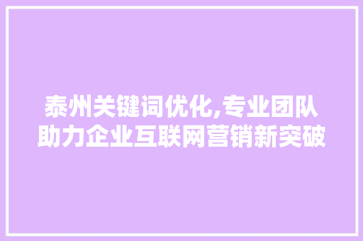 泰州关键词优化,专业团队助力企业互联网营销新突破