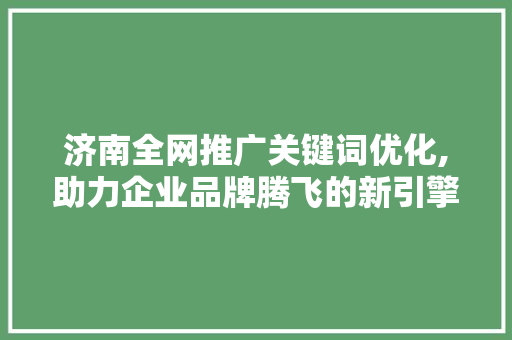 济南全网推广关键词优化,助力企业品牌腾飞的新引擎
