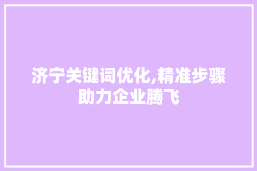 济宁关键词优化,精准步骤助力企业腾飞