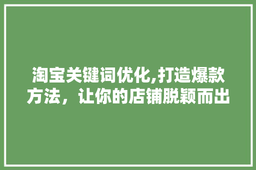 淘宝关键词优化,打造爆款方法，让你的店铺脱颖而出