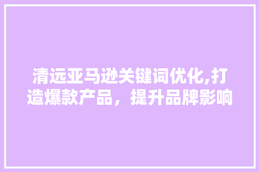 清远亚马逊关键词优化,打造爆款产品，提升品牌影响力