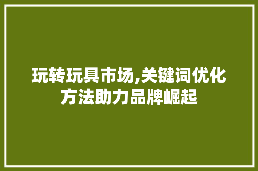 玩转玩具市场,关键词优化方法助力品牌崛起