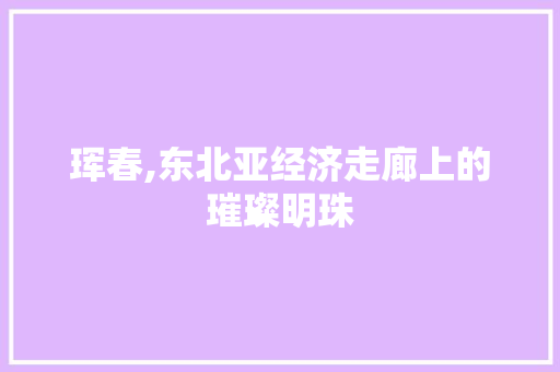 珲春,东北亚经济走廊上的璀璨明珠