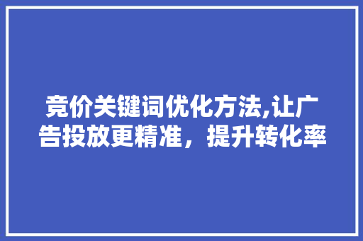 竞价关键词优化方法,让广告投放更精准，提升转化率 厨房维修