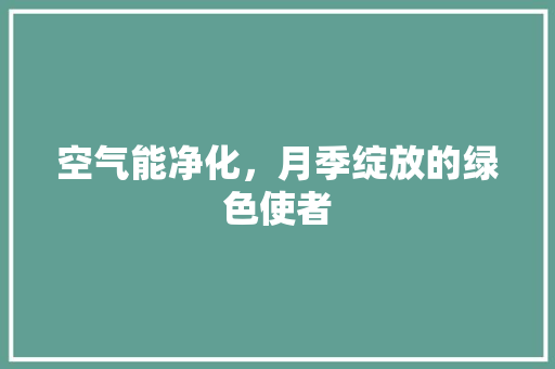 空气能净化，月季绽放的绿色使者 汽车维修