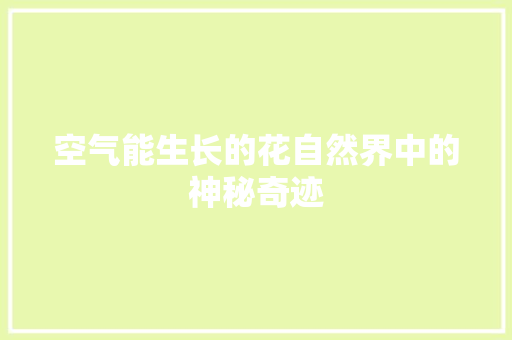 空气能生长的花自然界中的神秘奇迹 汽车维修
