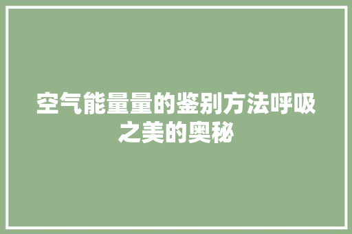 空气能量量的鉴别方法呼吸之美的奥秘