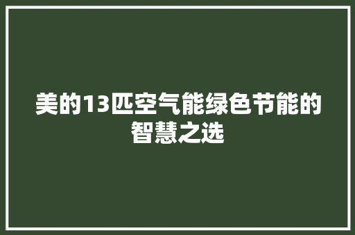 美的13匹空气能绿色节能的智慧之选