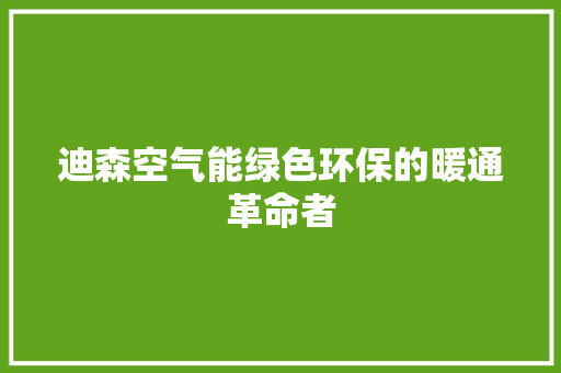 迪森空气能绿色环保的暖通革命者