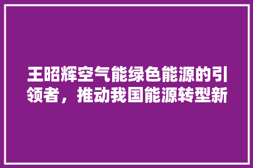王昭辉空气能绿色能源的引领者，推动我国能源转型新篇章