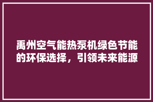禹州空气能热泵机绿色节能的环保选择，引领未来能源革新