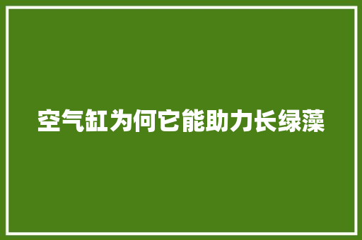 空气缸为何它能助力长绿藻 厨房维修