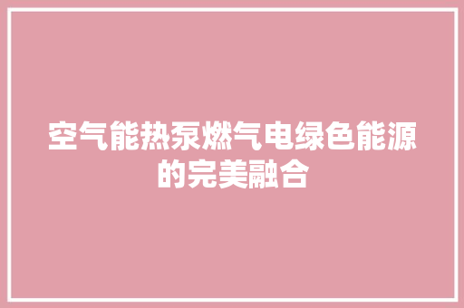 空气能热泵燃气电绿色能源的完美融合 厨房维修