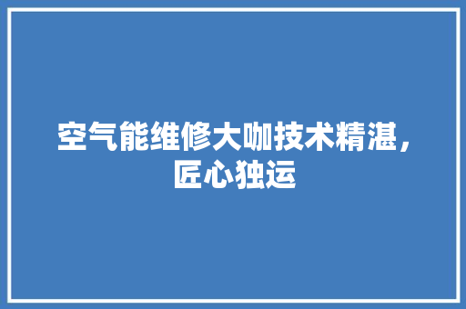 空气能维修大咖技术精湛，匠心独运
