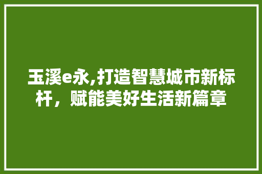 玉溪e永,打造智慧城市新标杆，赋能美好生活新篇章 玉溪e永,打造智慧城市新标杆，赋能美好生活新篇章 厨房维修