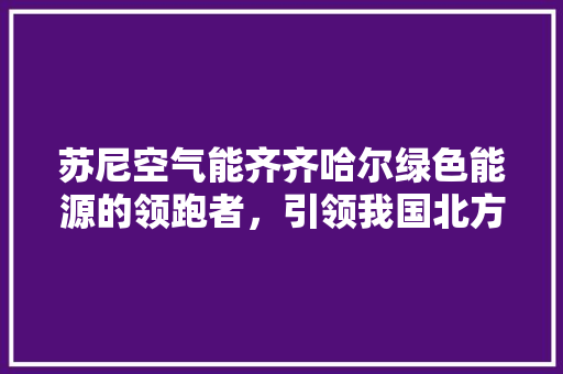 苏尼空气能齐齐哈尔绿色能源的领跑者，引领我国北方采暖新风尚 厨房维修