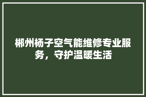 郴州杨子空气能维修专业服务，守护温暖生活