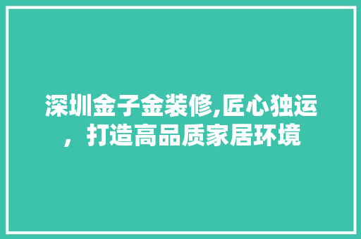 深圳金子金装修,匠心独运，打造高品质家居环境 深圳金子金装修,匠心独运，打造高品质家居环境 厨房维修