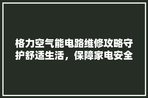 格力空气能电路维修攻略守护舒适生活，保障家电安全