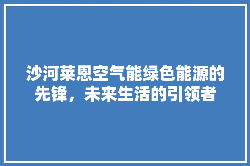 沙河莱恩空气能绿色能源的先锋，未来生活的引领者