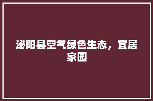 泌阳县空气绿色生态，宜居家园 厨房维修