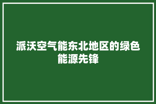 派沃空气能东北地区的绿色能源先锋 厨房维修