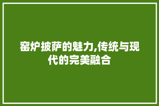窑炉披萨的魅力,传统与现代的完美融合 窑炉披萨的魅力,传统与现代的完美融合 家电维修