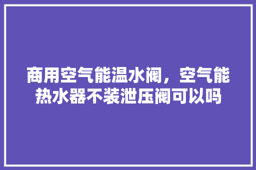商用空气能温水阀，空气能热水器不装泄压阀可以吗
