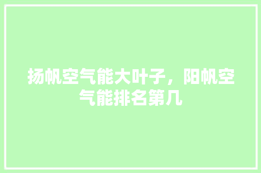 扬帆空气能大叶子，阳帆空气能排名第几 厨房维修