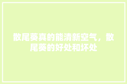 散尾葵真的能清新空气，散尾葵的好处和坏处 汽车维修