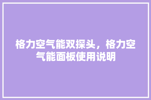 格力空气能双探头，格力空气能面板使用说明 厨房维修