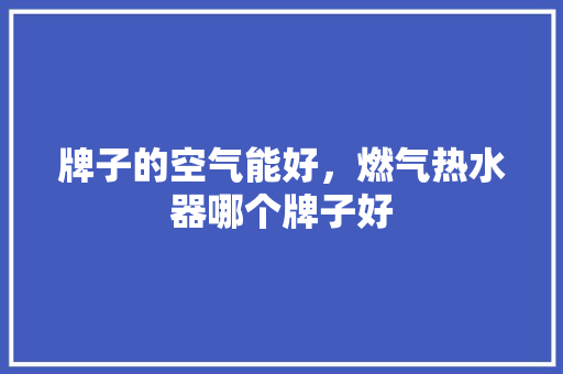 牌子的空气能好，燃气热水器哪个牌子好 汽车维修