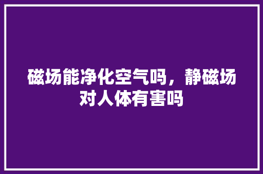 磁场能净化空气吗，静磁场对人体有害吗 厨房维修