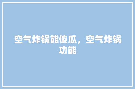 空气炸锅能傻瓜，空气炸锅功能 综合便民