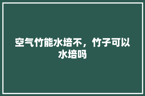 空气竹能水培不，竹子可以水培吗