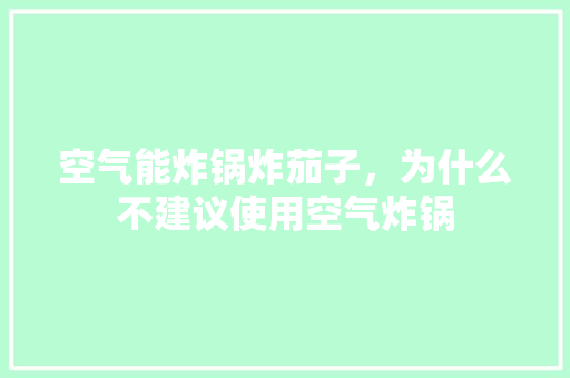 空气能炸锅炸茄子，为什么不建议使用空气炸锅