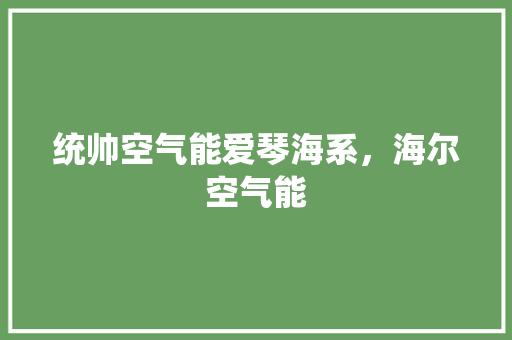 统帅空气能爱琴海系，海尔空气能