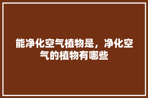能净化空气植物是，净化空气的植物有哪些