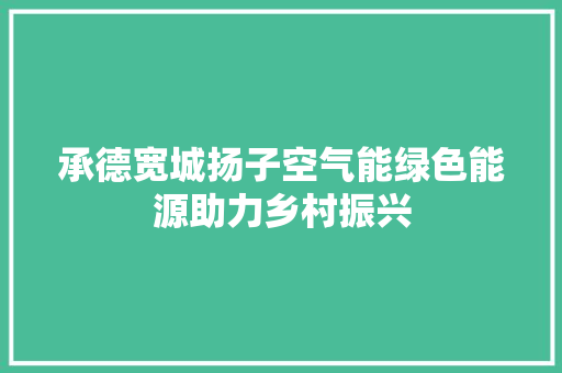 承德宽城扬子空气能绿色能源助力乡村振兴 厨房维修