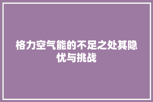 格力空气能的不足之处其隐忧与挑战