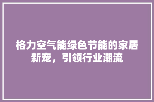 格力空气能绿色节能的家居新宠，引领行业潮流