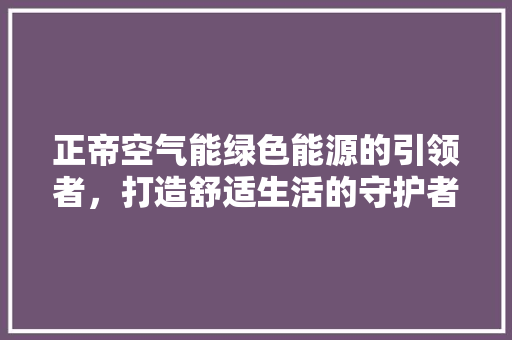 正帝空气能绿色能源的引领者，打造舒适生活的守护者
