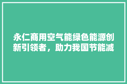 永仁商用空气能绿色能源创新引领者，助力我国节能减排事业 厨房维修