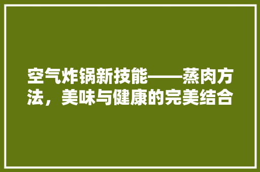 空气炸锅新技能——蒸肉方法，美味与健康的完美结合