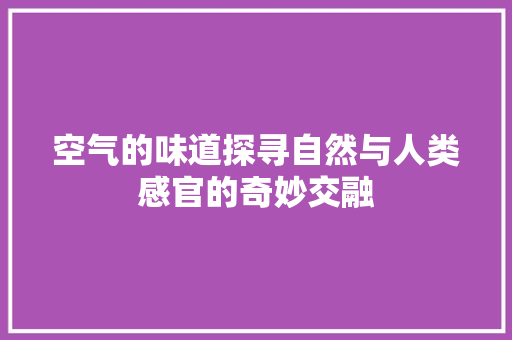 空气的味道探寻自然与人类感官的奇妙交融