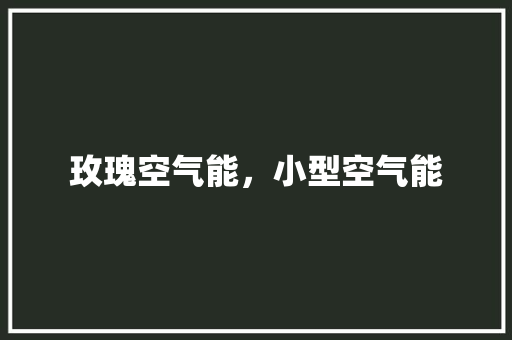 玫瑰空气能，小型空气能 综合便民