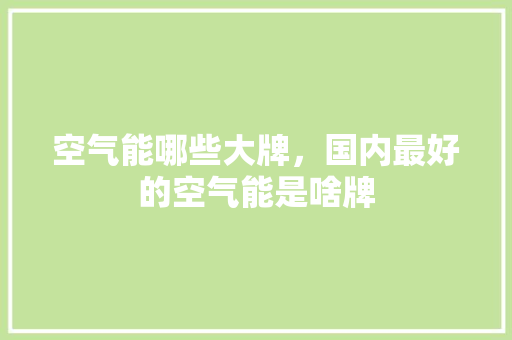 空气能哪些大牌，国内最好的空气能是啥牌
