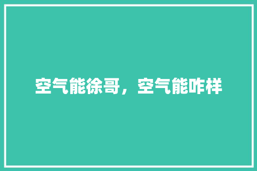 空气能徐哥，空气能咋样
